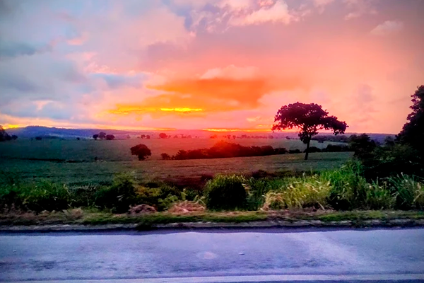 Empresa de Mudança em Divinópolis